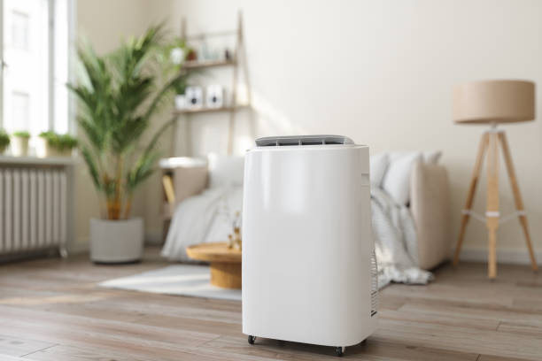 Best Energy-efficient HVAC Solutions in Escobares, TX